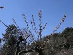 Photo DSC01705.JPG